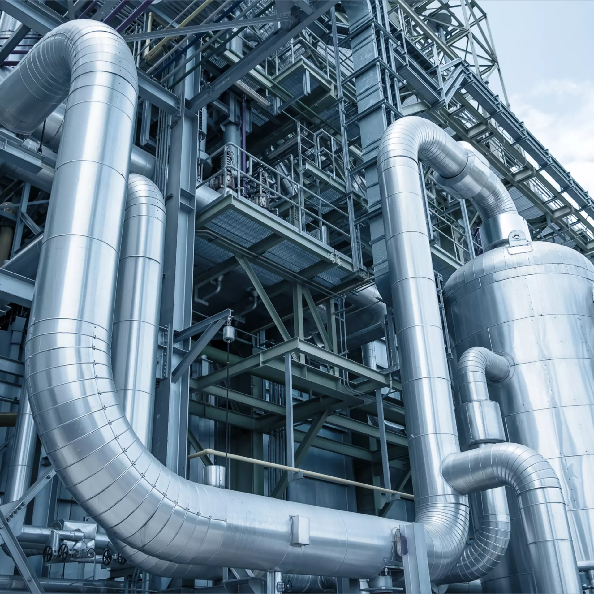 AdobeStock_118134518_bearb