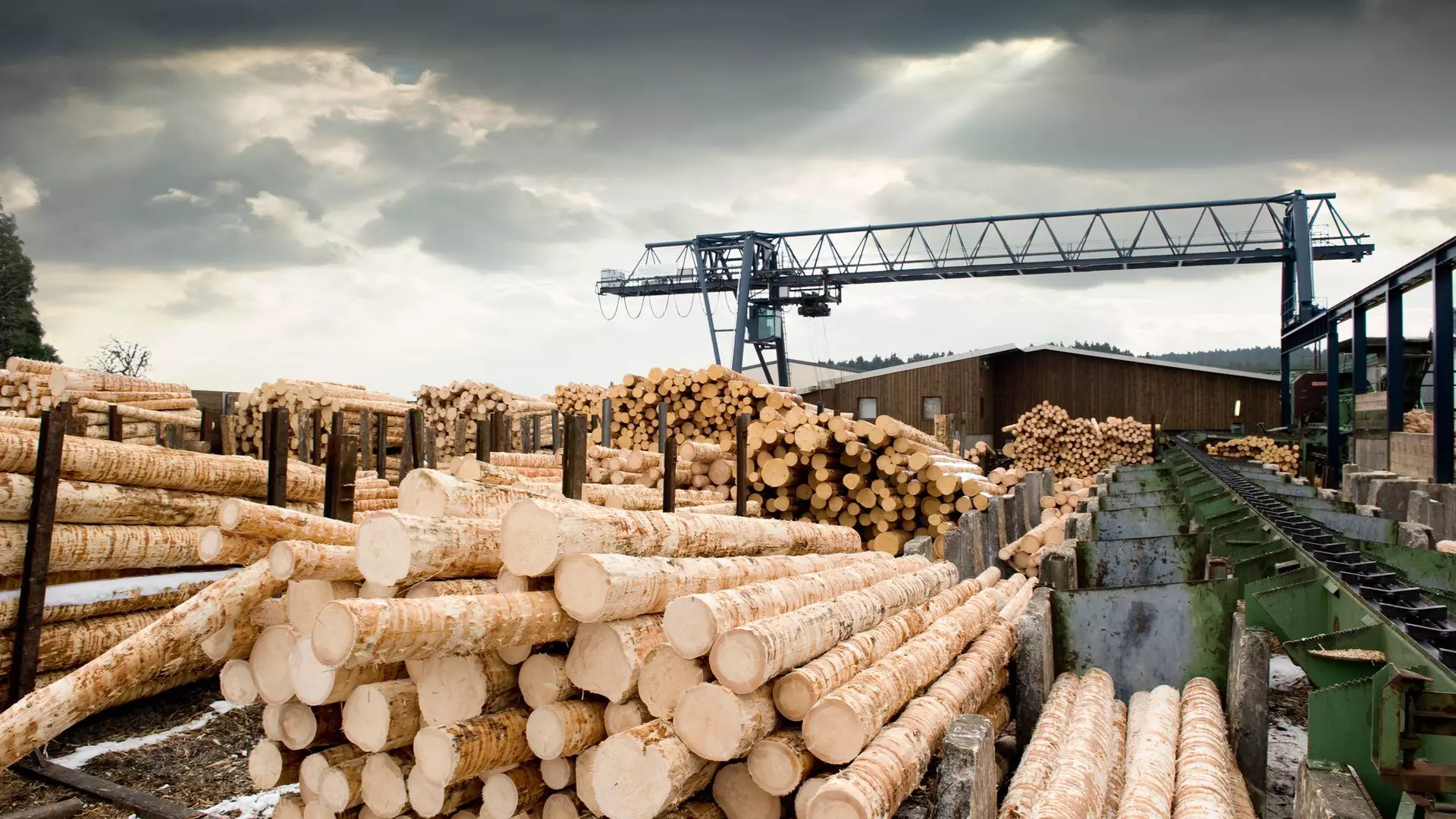 markets-industry-wood-paper-industrial-valves-ari-armaturen